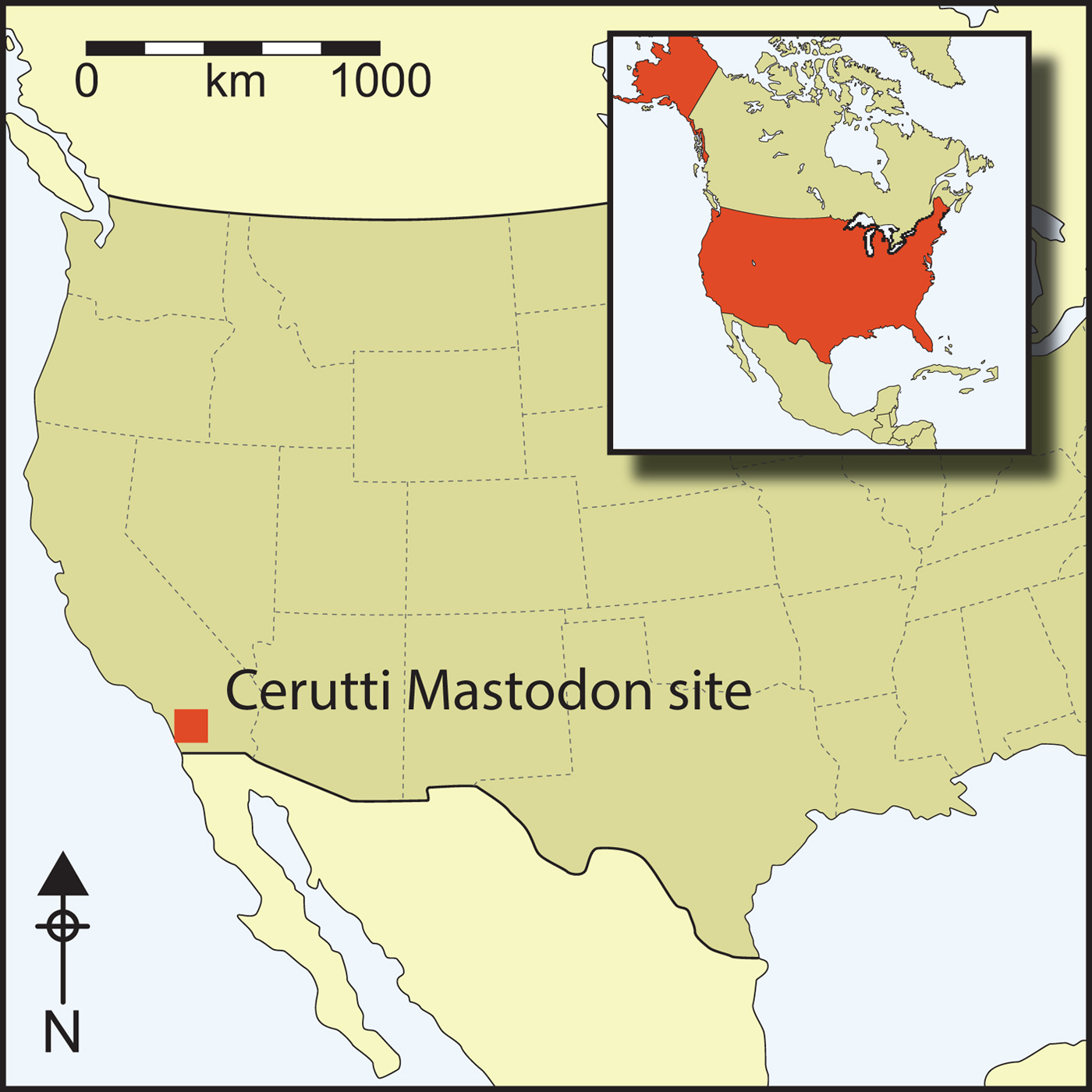 cerutti.jpg